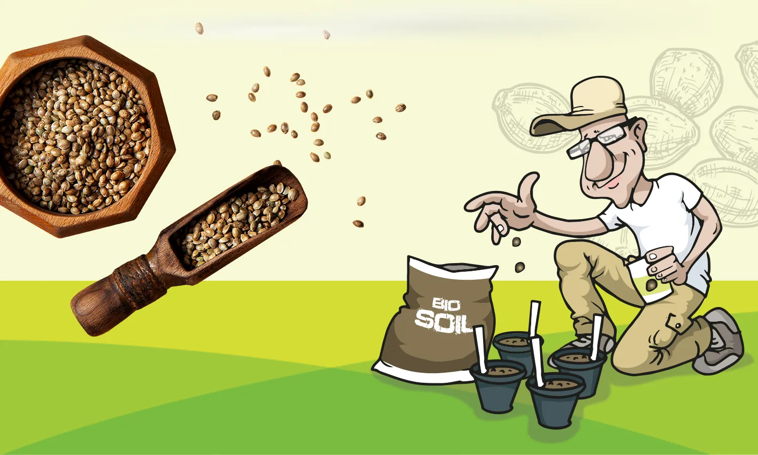Dirks Seedshop Illustration – Onlineshop-Referenz von imc Digitalagentur