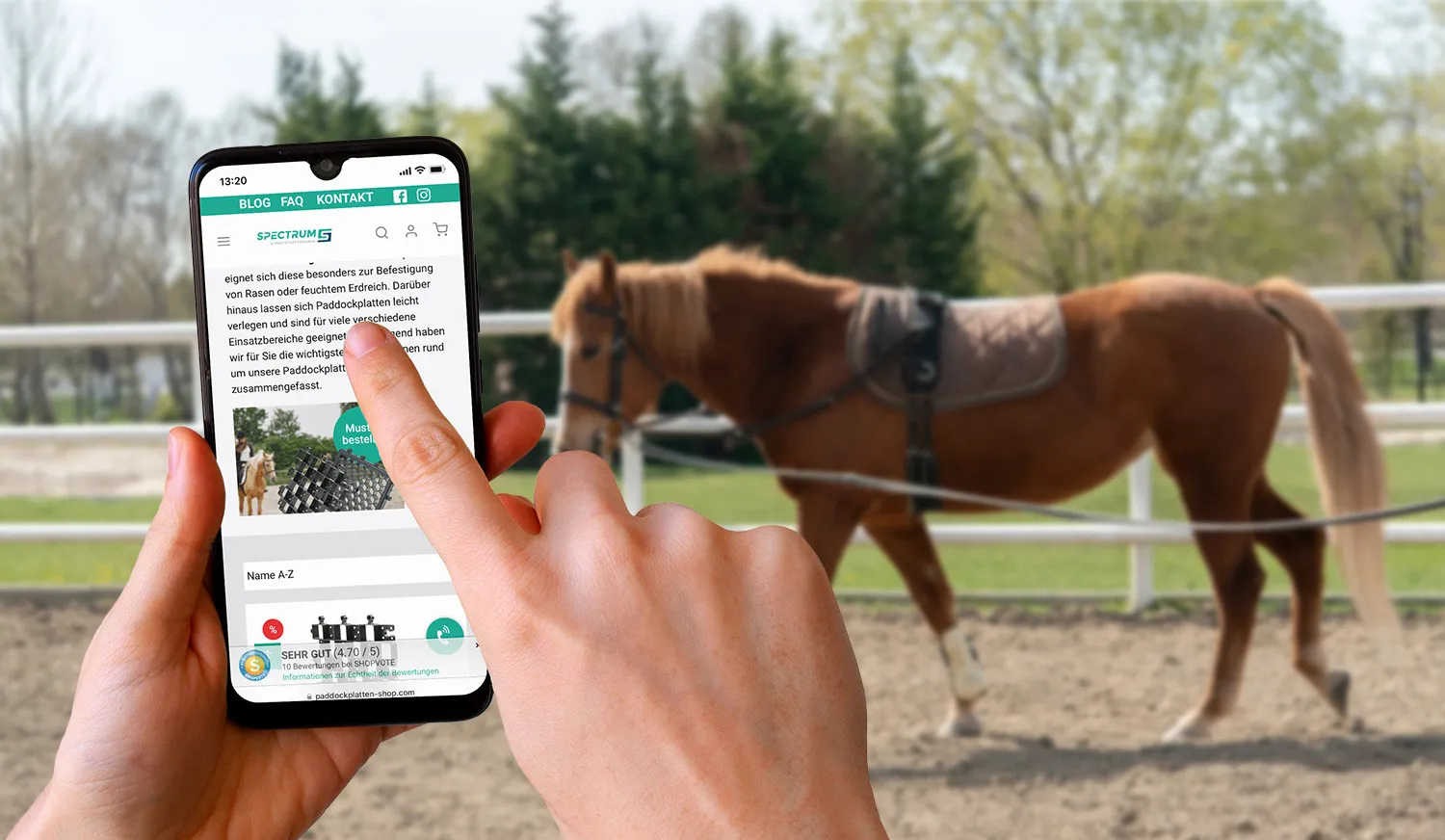 Paddockplatten Shop Muster bestellen - Person bestellt per Smartphone Muster im Paddockplatten Shop