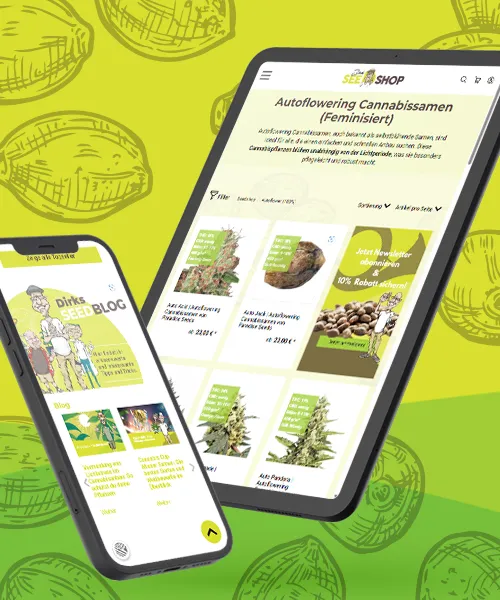 Dirks Seedshop Relaunch – mit interaktiven Funktionen und benutzerfreundlichem Design