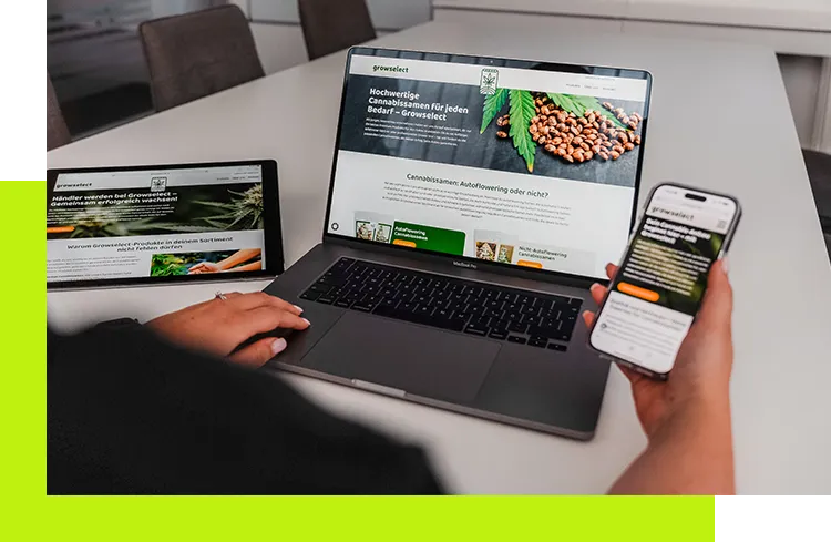 Corporate Identity Corporate Design - Website auf Laptop, Tablet und Smartphone im responsiven Design