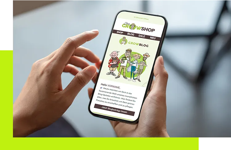 Newsletter erstellen Agentur - Beispiel einer professionell erstellten E-Mail-Kampagne für effektives Newsletter-Marketing