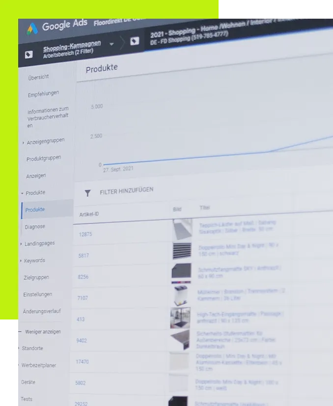 SEA Digitalagentur Heidelberg - Auswertung einer Google-Ads Kampange