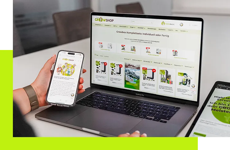 E-Commerce Konzept - Umsetzung einer individuellen E-Commerce-Lösung mit Produktdarstellung